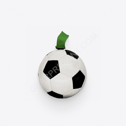 Dog Soccer Ball Toy