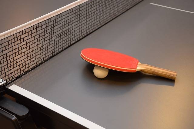 Play Ping Pong With Your Family