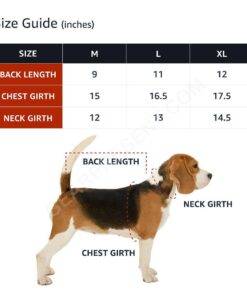Free Kisses Dog Denim Jacket – Word Print Dog Denim Coat – Minimalist Dog Clothing 