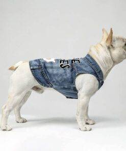 Free Kisses Dog Denim Vest – Word Print Dog Denim Jacket – Minimalist Dog Clothing 