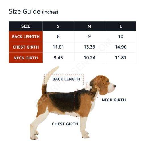 Free Kisses Dog Denim Vest – Word Print Dog Denim Jacket – Minimalist Dog Clothing