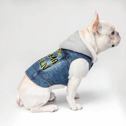 Drama Queen Dog Denim Jacket – Funny Dog Denim Coat – Themed Dog Clothing