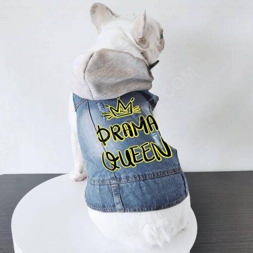 Drama Queen Dog Denim Jacket – Funny Dog Denim Coat – Themed Dog Clothing