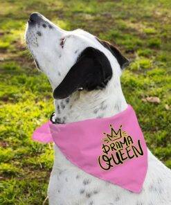 Drama Queen Pet Bandana – Funny Dog Bandana – Themed Pet Scarf 