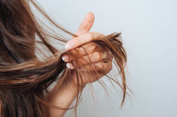 Budget-Friendly Solutions for Common Hair Problems