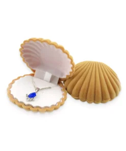 Elegant Shell Shaped Jewelry Store Box