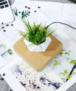 Magnetic Levitating Plant Home Office Room Space Decor