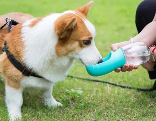 Portable Pet Water Bottle - Image 7