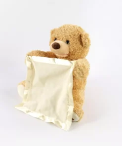 Peek-a-Boo Bear Toy