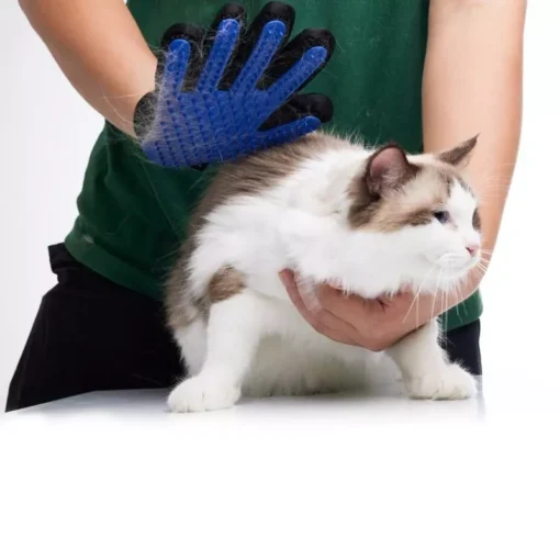 Luxurious Grooming Glove - Image 2