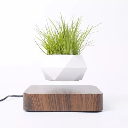 Enchanting Moon & Levitating Plant LED Light - Image 6
