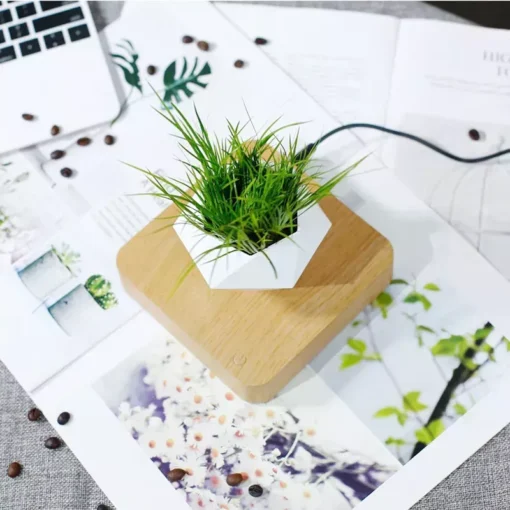 Enchanting Moon & Levitating Plant LED Light - Image 7