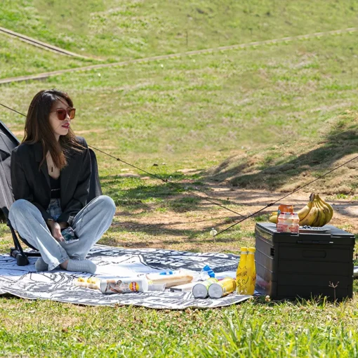 60L Portable Folding Storage Box for Outdoor Camping & Picnic - Image 3
