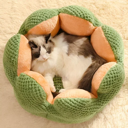 Cactus Flower Pet Bed - Image 4