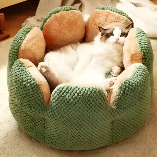 Cactus Flower Pet Bed - Image 3
