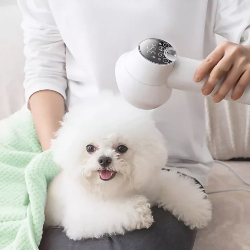 Professional Pet Hair Dryer & Brush - Image 6