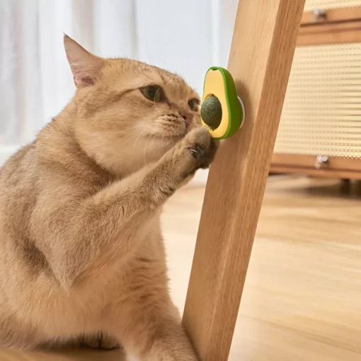 Avocado Catnip Toy - Image 5