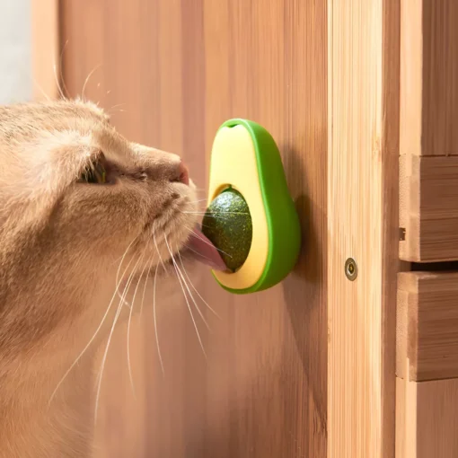 Avocado Catnip Toy - Image 4