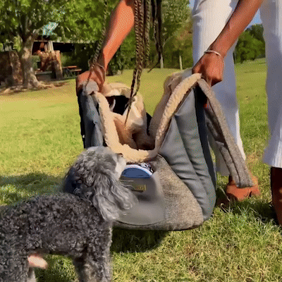 dog-carrier-car-seat-pearl-purse-owleys-4