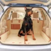 Sturdy Car Dog Hammock With Side Flaps