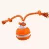 Interactive Motion Activated Dog Ball – Automatic Rolling Toy for Small Dogs