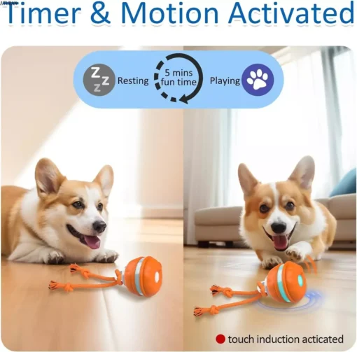 Interactive Motion Activated Dog Ball – Automatic Rolling Toy for Small Dogs - Image 4