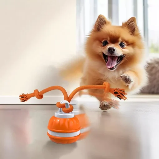 Interactive Motion Activated Dog Ball – Automatic Rolling Toy for Small Dogs - Image 2