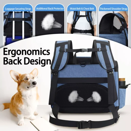 Airline Approved Pet Backpack Carrier - Image 2