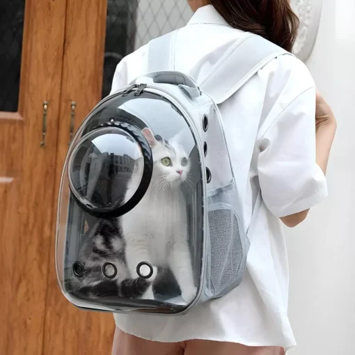 Luxury Cat Space Capsule Transparent Backpack - Image 6