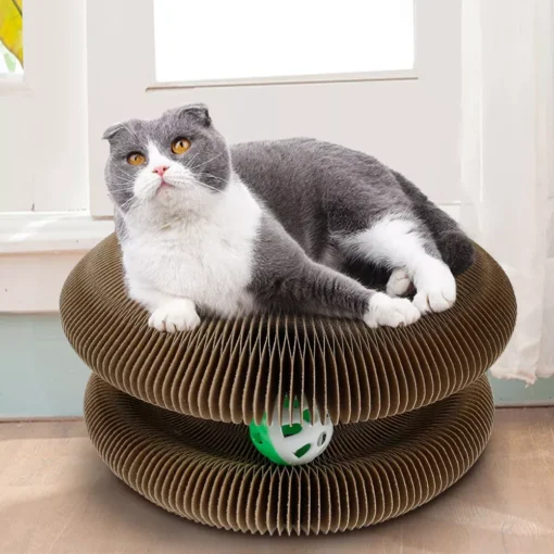 Foldable Magic Organ Cat Scratcher with Toy Ball – Multi-Shape Durable Climbing and Sleeping Board for Cats - Image 2