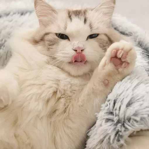 Warm Long Plush Cat Bed - Image 7
