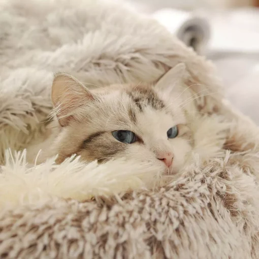 Warm Long Plush Cat Bed - Image 5