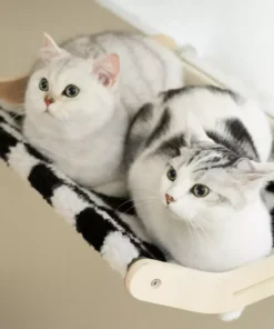 Dual Cat Window Perch Hammock