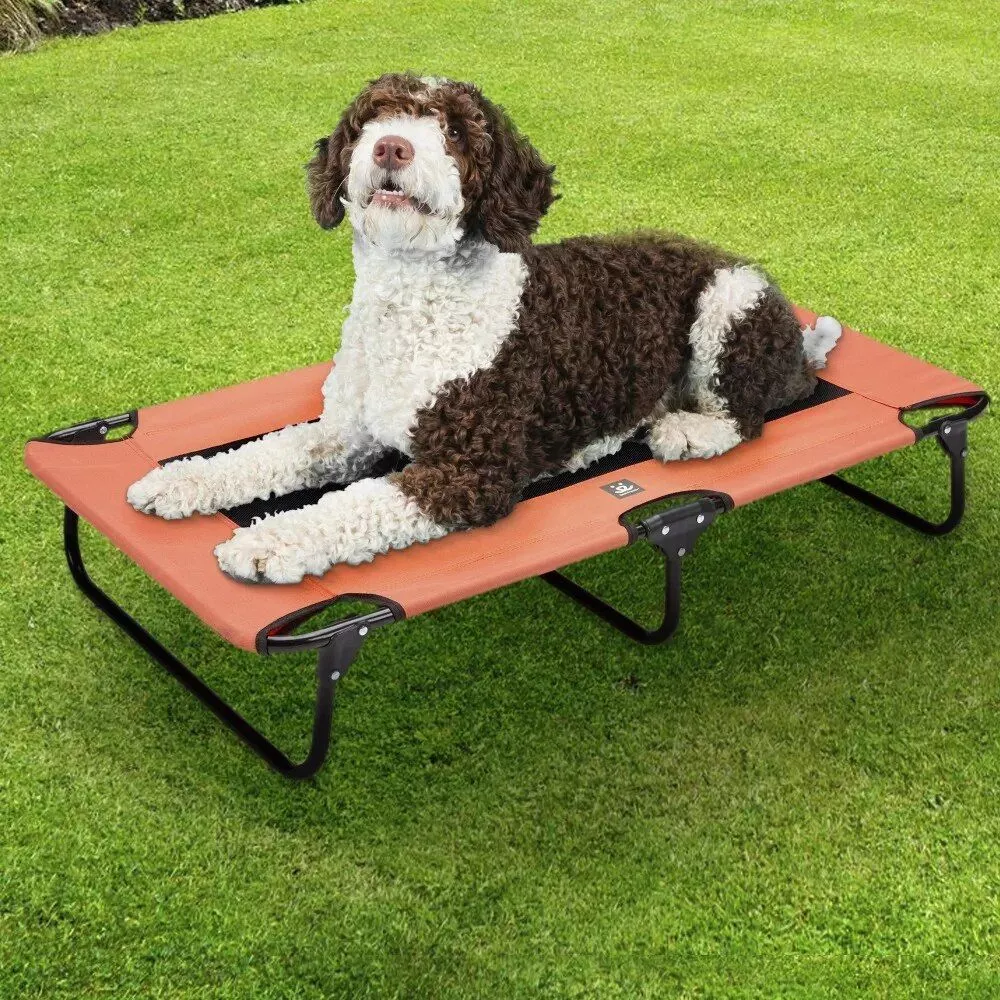Portable Mesh Dog Cot