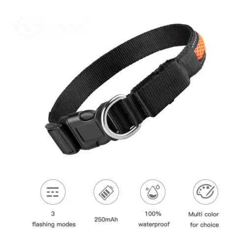 Nylon Dog Collar Flash Night Safety LED Glow Waterproof - Image 4