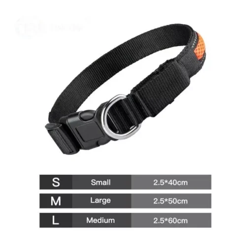Nylon Dog Collar Flash Night Safety LED Glow Waterproof - Image 5