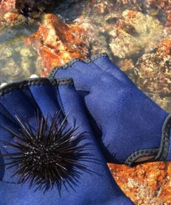 2MM Sphere Fingerless Webbed Swimming Gloves