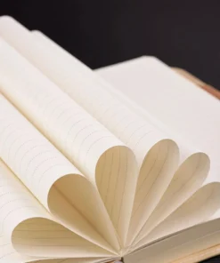 Elegant A5 PU Leather Diary