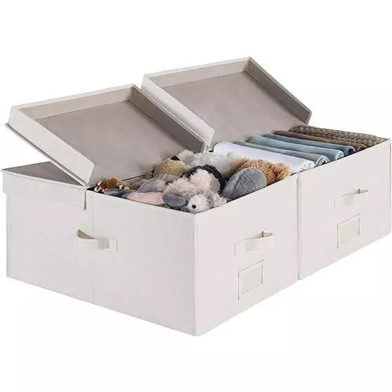 55L Large Storage Bin with Double-Open Lid & Divider