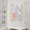 Gold 5-Tier Wall Mounted Scarf & Accessory Organizer Rack