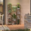 Eco-Friendly Tall Wood Plant Stand
