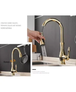 Gold Pull Out Kitchen Faucet
