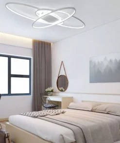 Contemporary Black & White LED Ceiling Light