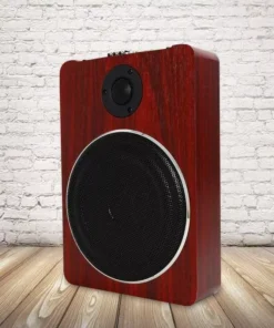Compact 8″ Under-Seat Active Subwoofer with Amp Kit