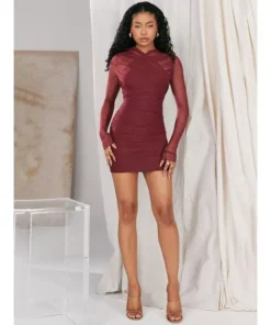 Sheer Long Sleeve Backless Bodycon Mini Dress