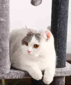 Multi-Layer Luxury Cat Tree House with Condo & Accessories