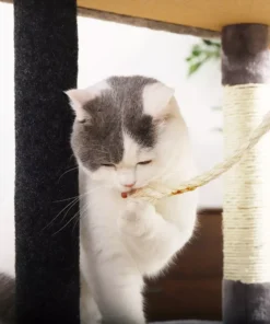 Multi-Layer Luxury Cat Tree House with Condo & Accessories