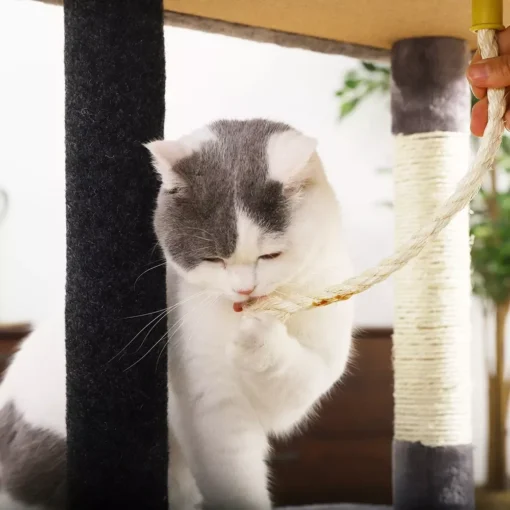 Multi-Layer Luxury Cat Tree House with Condo & Accessories