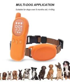 Rechargeable 800M Dog Training Collar with Sound, Vibration & Shock Features