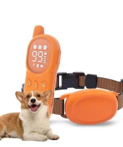 Rechargeable 800M Dog Training Collar with Sound, Vibration & Shock Features